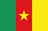 Cameroun logo